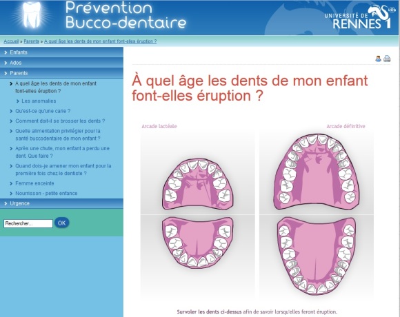 ANIMATION à consulter en ligne sur la page "Prévention Bucco-dentaire" de l'Université de Rennes1